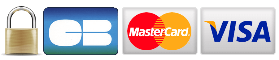 logo-payment